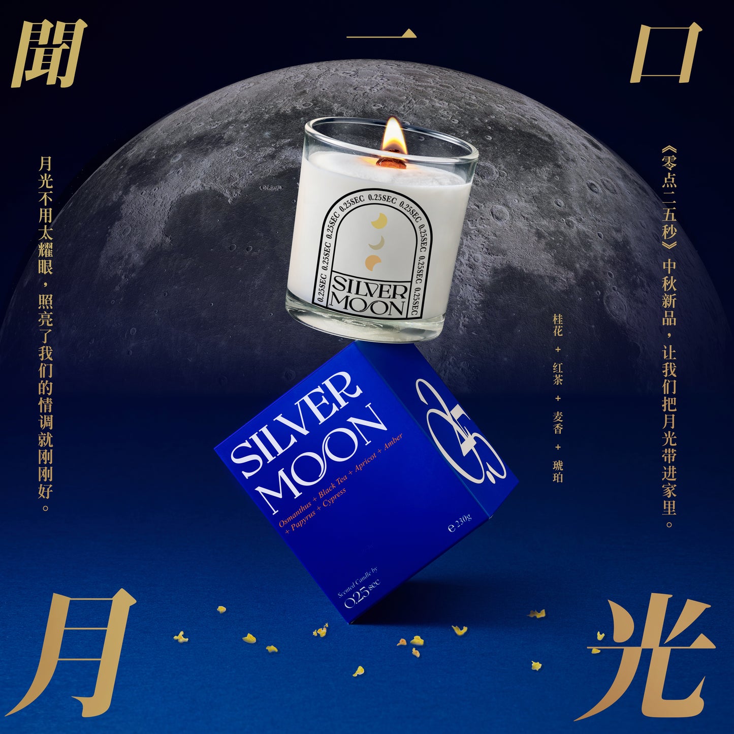 《Silver Moon 》- Seasonal Edition